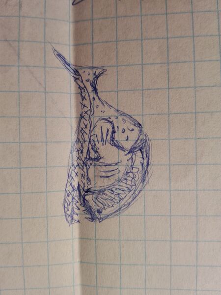 File:IMG 20170215 212046.jpg