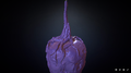 Thumbnail for version as of 21:57, 26 May 2016