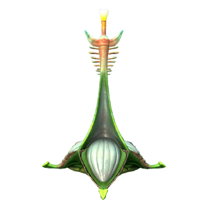 Mace Plant Flora.png