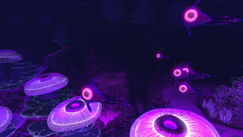 File:OculusB.jpg