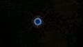 Bioluminescence