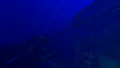 Thumbnail for version as of 17:54, 6 August 2021