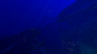 The southern end of the Crashed Ship segment.