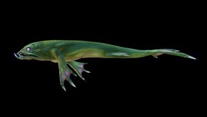 LavaLizard9.jpg