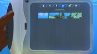 The Photo Gallery tab