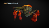 The Rock Puncher's full model