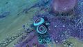 Thumbnail for version as of 08:03, 7 August 2021