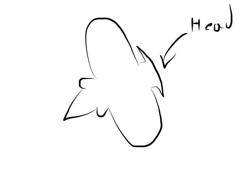 File:WIP HAIL BOMB.jpg