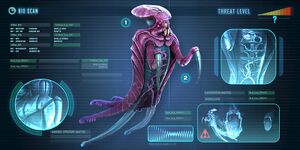 Warper-0.jpg