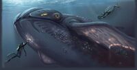 "Whale" A - by Pat Presley