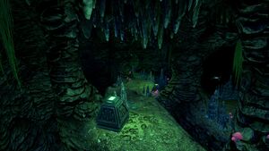 Crag Field Cache (9).jpg