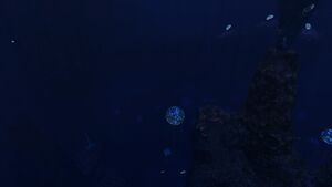 GrandReef5.jpg