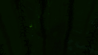 Ditto, at night