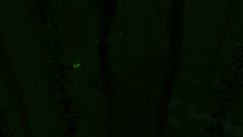 File:Kelp Forest Overview Night.png