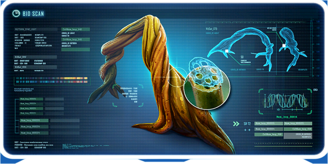 Kelproot Ency.png