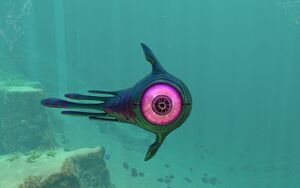 Life-form oculus.jpg