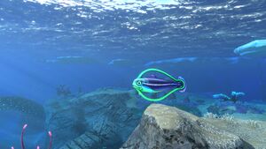 STB Hoopfish.jpg