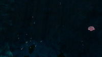 Some Magnetite and Shoals of Fish
