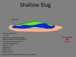 Shallow Slug Concept 2.jpg