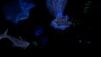 The larger cave