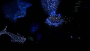 Underwater Islands Caves (4).jpg