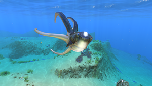 Unknown (1).png