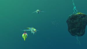 BruteSharkLI2.jpg