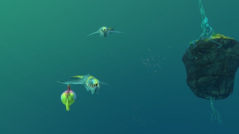 File:BruteSharkLI2.jpg