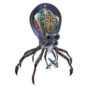Crabsquid Fauna.jpg
