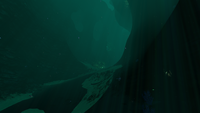 The large trench in the Deep Sparse Reef