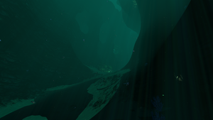 DeepSparse5.png
