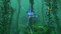 Gravsphere in Kelp Forest