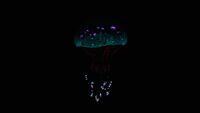 Bioluminescence