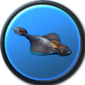 Thumbnail for version as of 08:29, 10 March 2015
