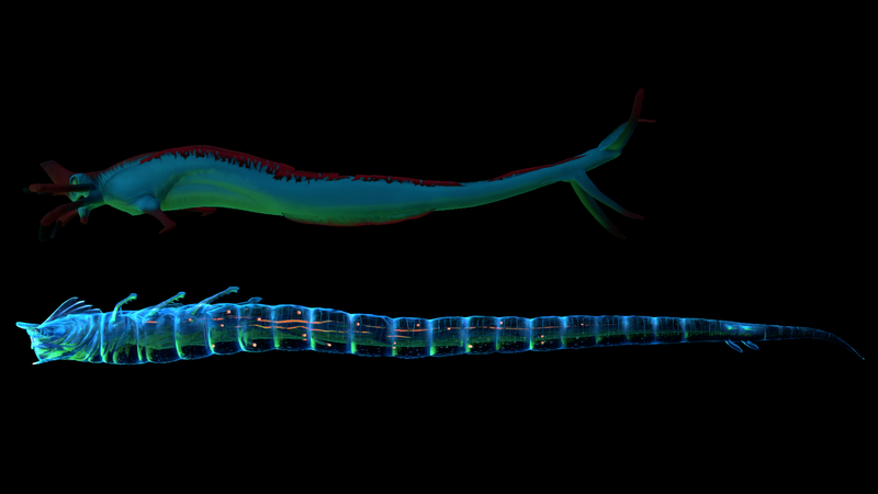 File:Small GL Reaper Comparison.png