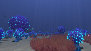 Various Bulb Bush Sizes.png