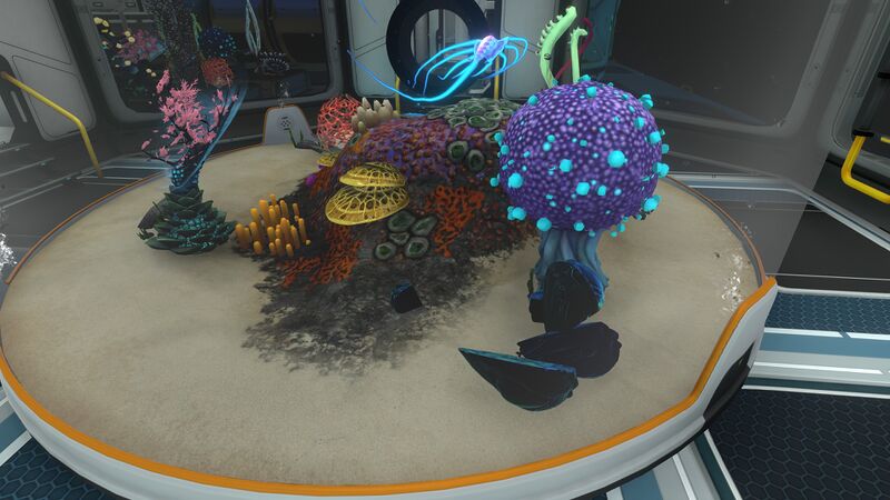 File:Jellyray Egg Breaks.jpg
