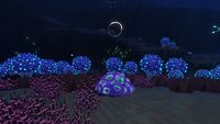A Purple Brain Coral surrounded by Bulb Bushes