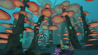 MushroomEastTrue.png