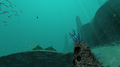 Thumbnail for version as of 17:01, 10 March 2017