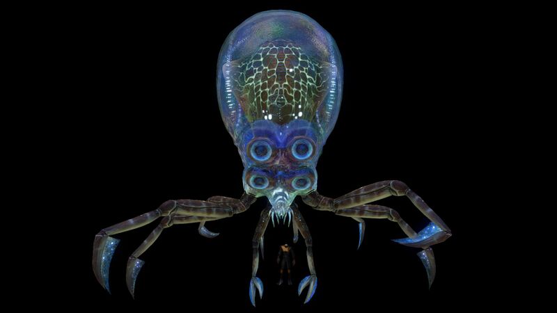 File:Crabsquid7.jpg