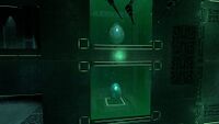 Yet more wall embedded cases, containing a Lava Lizard egg and a Gasopod egg