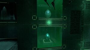 EggLab26.jpg