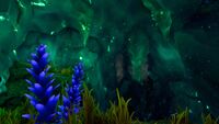 Various flora found near a Hydrothermal Vent