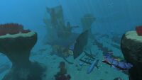 Grassy Plateaus Large Wreck 1