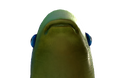 Hole.png
