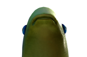 Hole.png