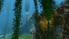 Kelp Forest 8.gif