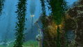 Kelp Forest 8.gif
