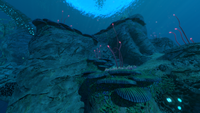 Cliffs with Shelf Coral growing on them